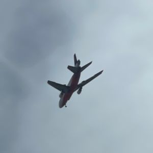 Meet your Posher, Idalia